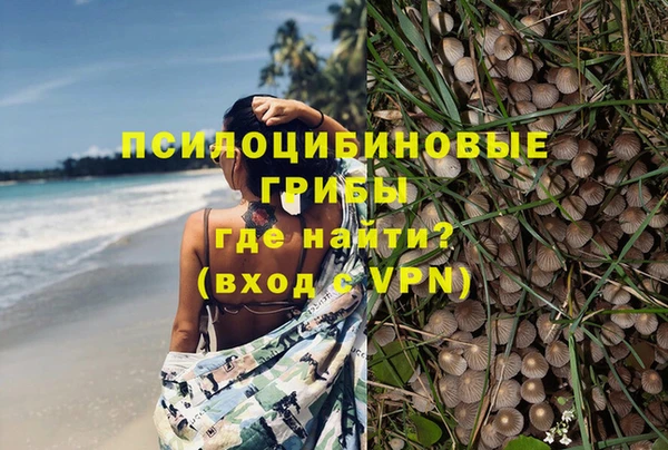 МДПВ Армянск